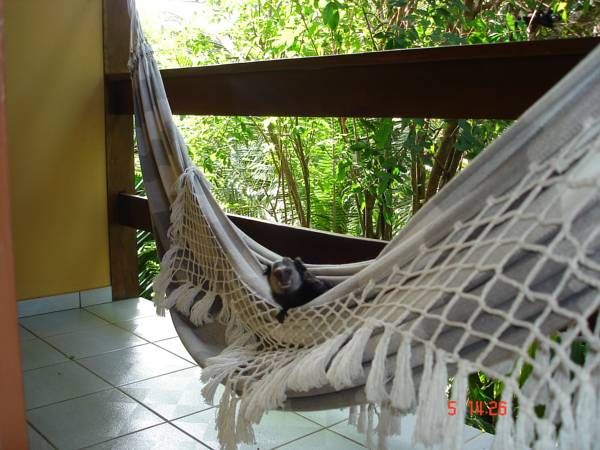 Outdoor Pictures 15