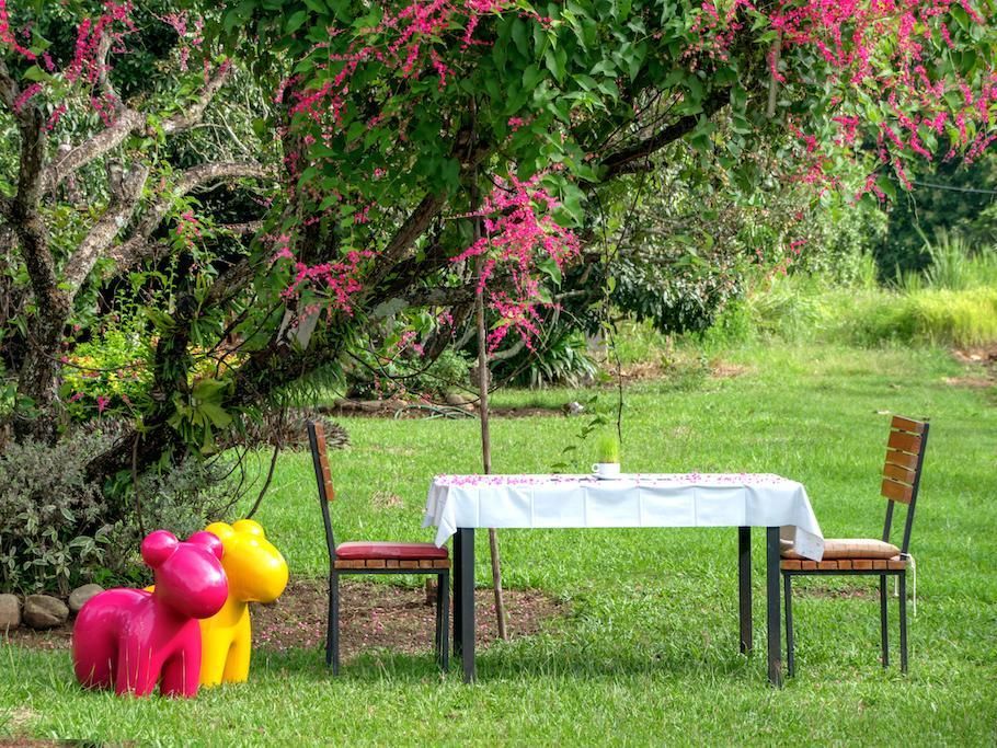 Outdoor Pictures 9