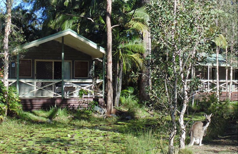 NRMA Darlington Beach Holiday Resort