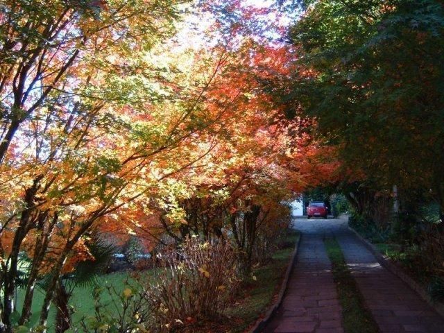 Outdoor Pictures 19
