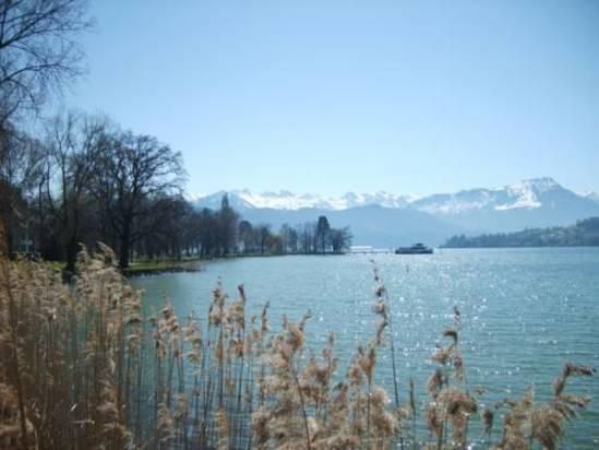 Outdoor Pictures 23