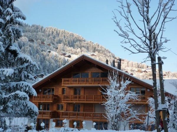 CHALET DES AMIS