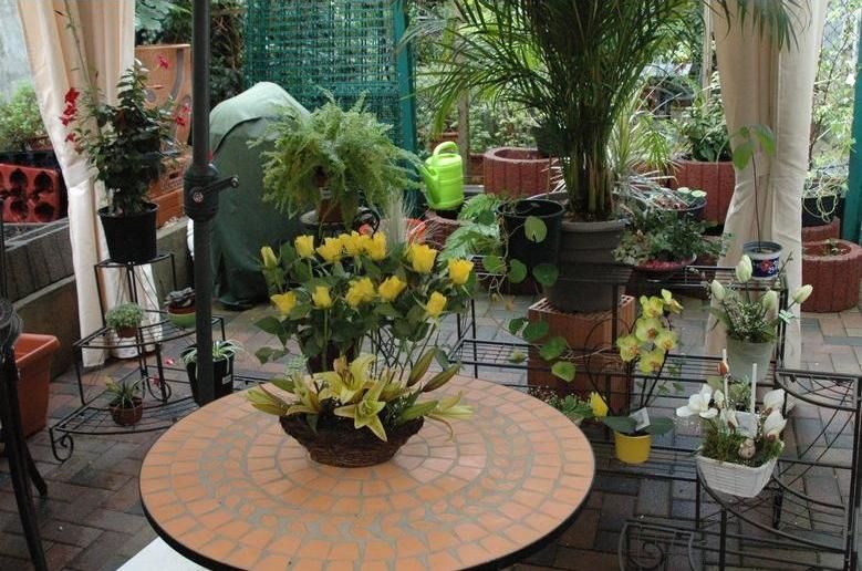 CASA LA LUZ