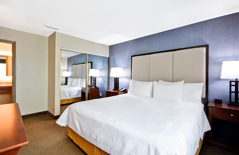 Homewood Suites by Hilton Dallas-Lewisville