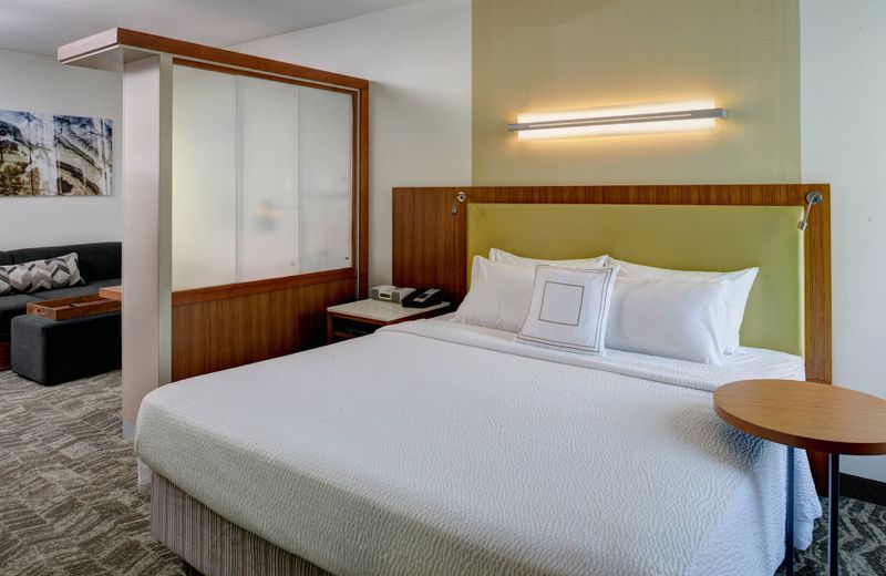 SpringHill Suites by Marriott Saginaw