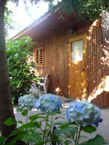 Outdoor Pictures 24
