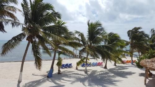 Anchorage Beach Resort Caye Caulker