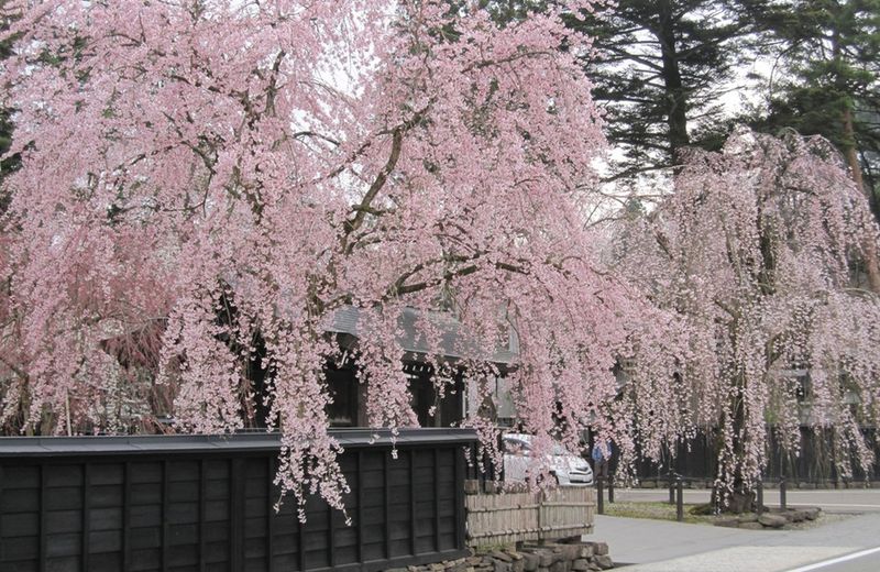 Kawaguchi Onsen Ousanso