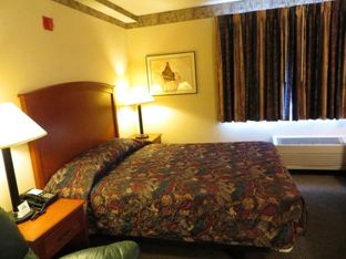 Hotel Image 5
