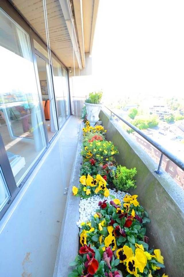 Outdoor Pictures 11