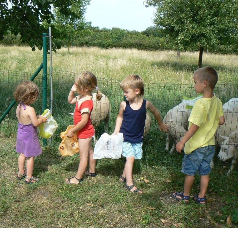 Outdoor Pictures 8
