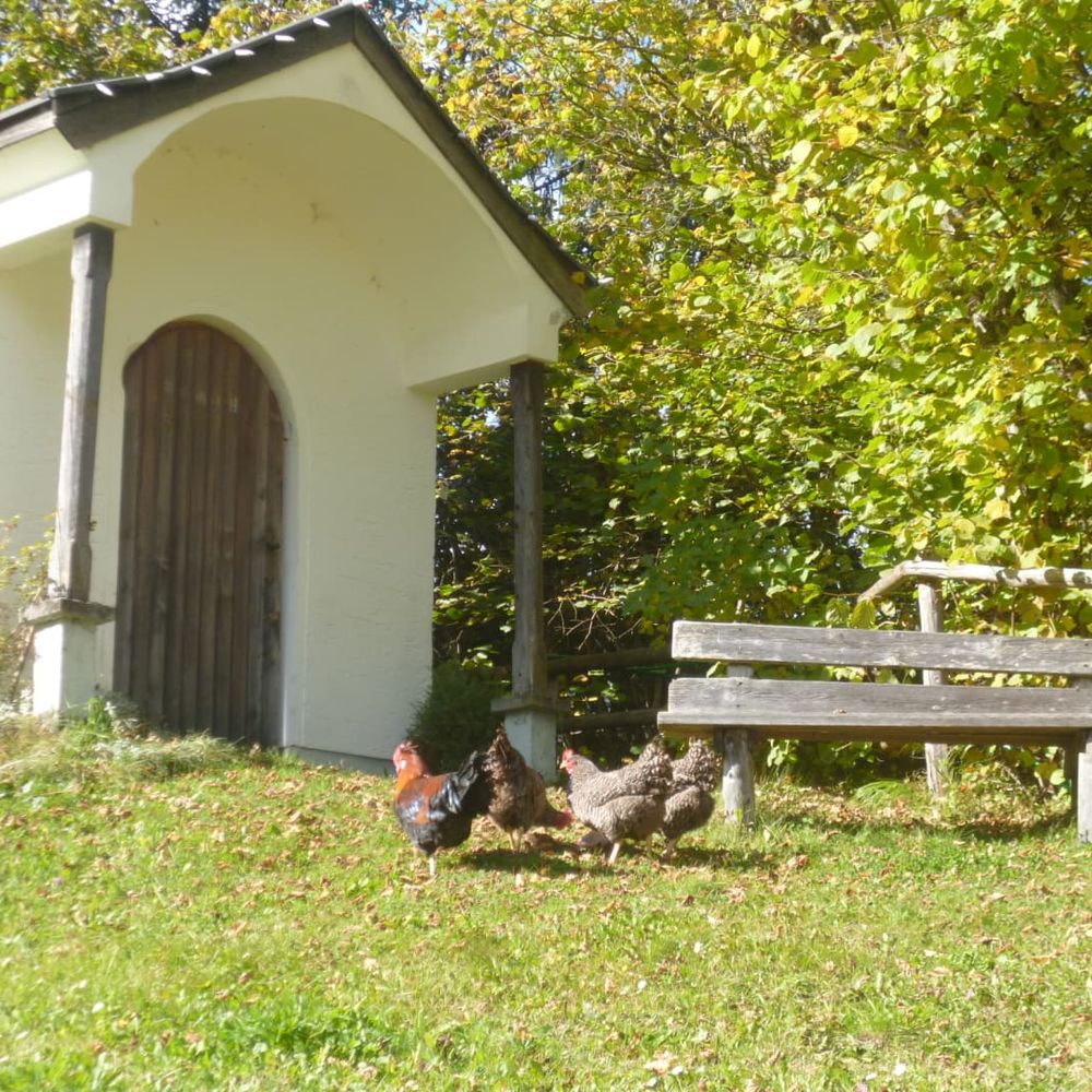Outdoor Pictures 22
