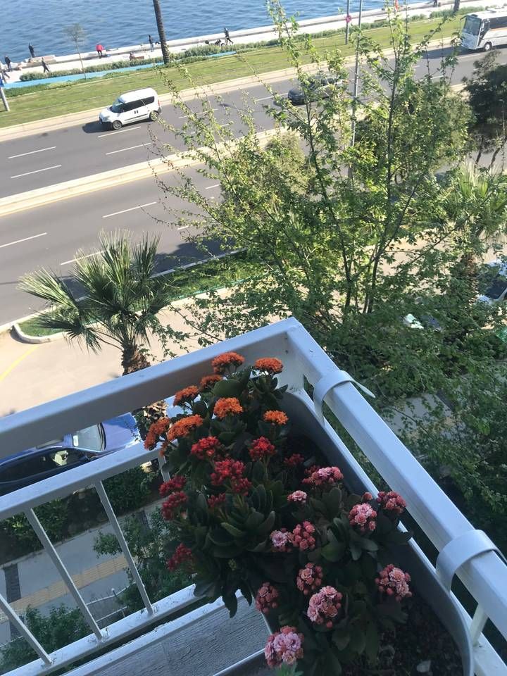 Outdoor Pictures 9