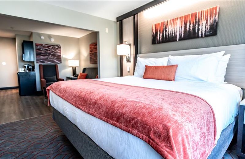 Best Western Premier Conyers