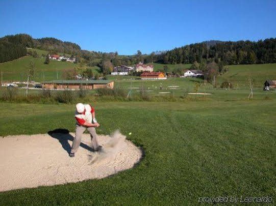 Outdoor Pictures 10