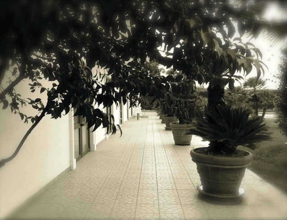 Outdoor Pictures 15