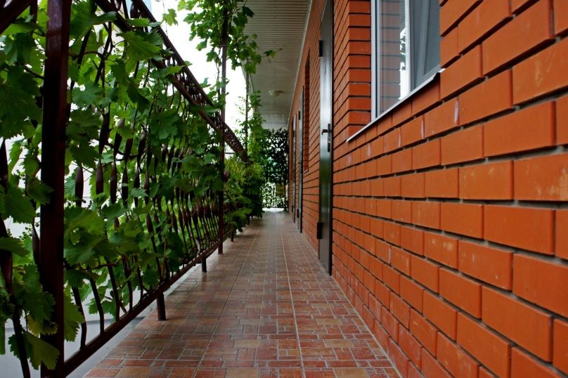 Outdoor Pictures 24