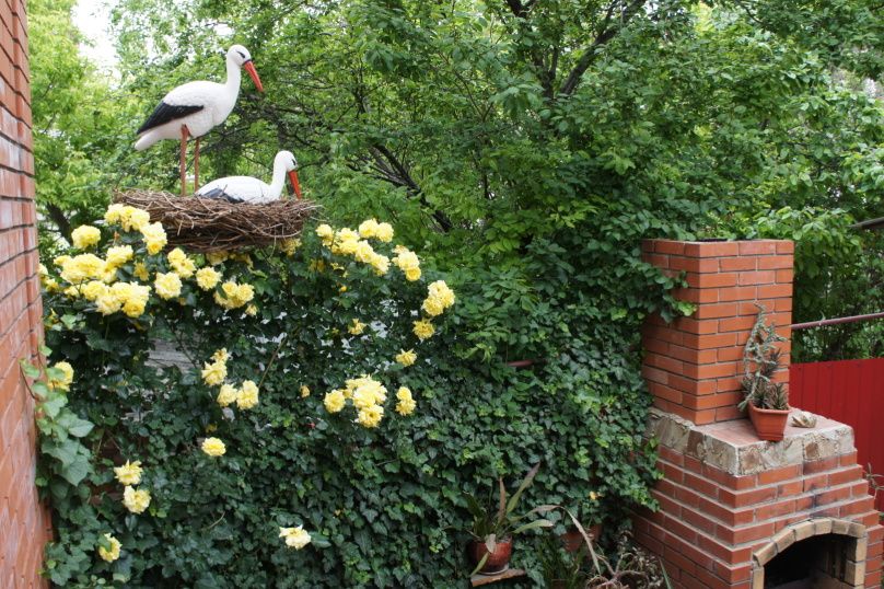 Outdoor Pictures 15