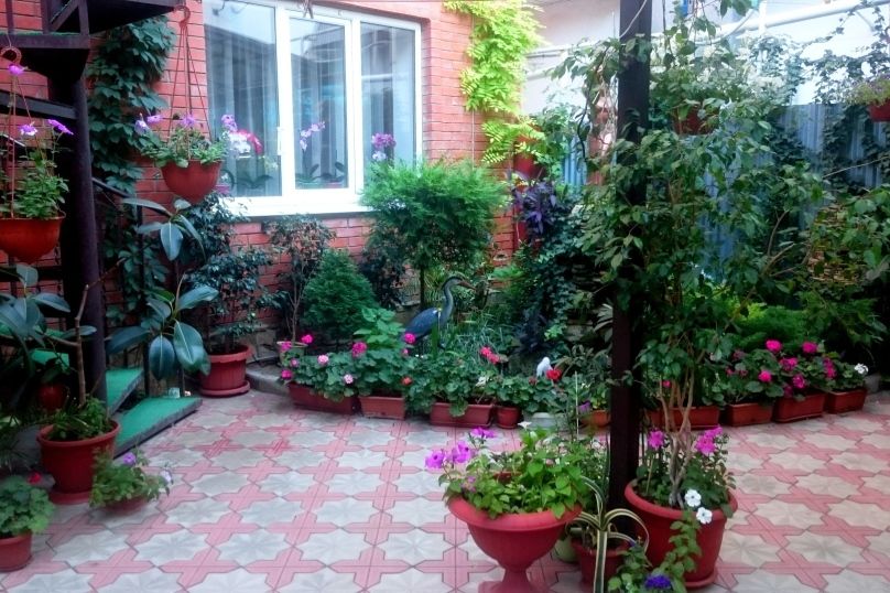 Outdoor Pictures 16