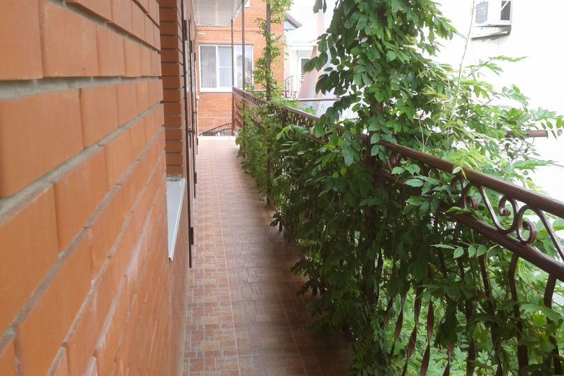 Outdoor Pictures 23