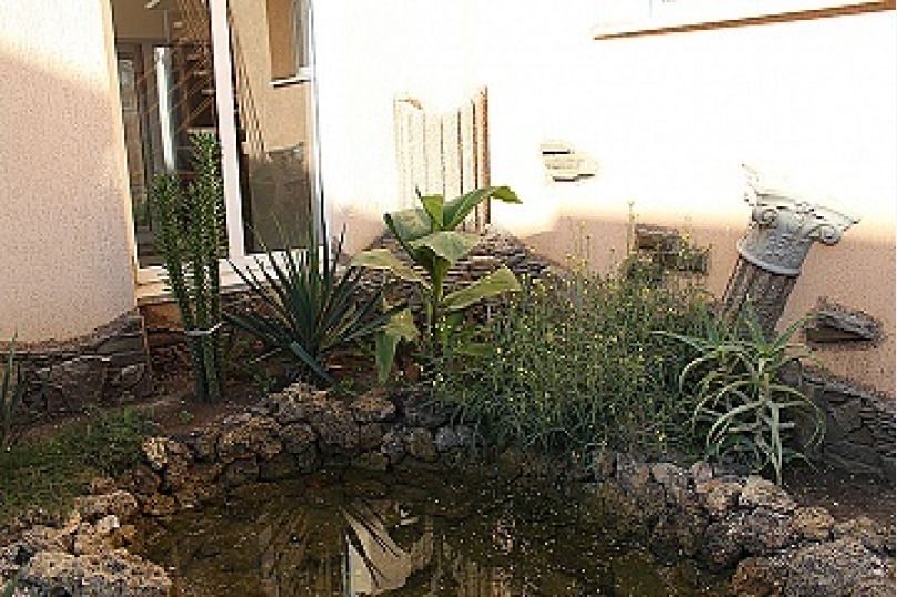 Outdoor Pictures 23