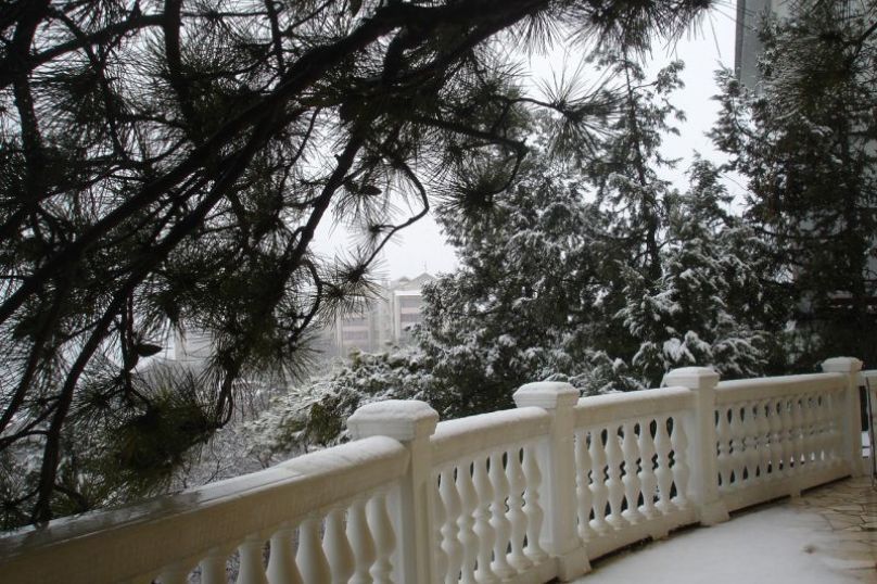 Outdoor Pictures 17