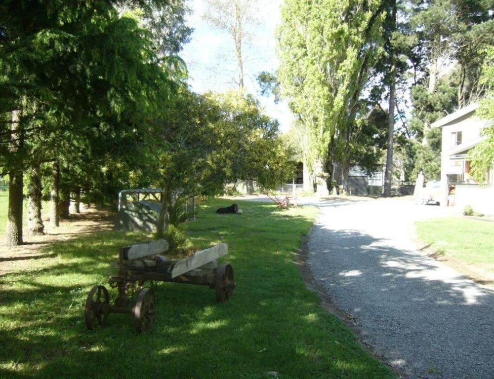 Outdoor Pictures 17