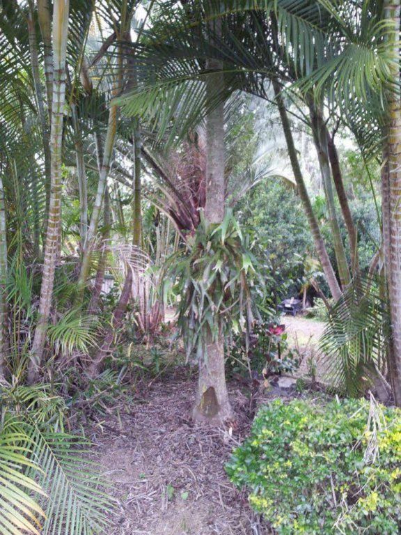 Outdoor Pictures 9