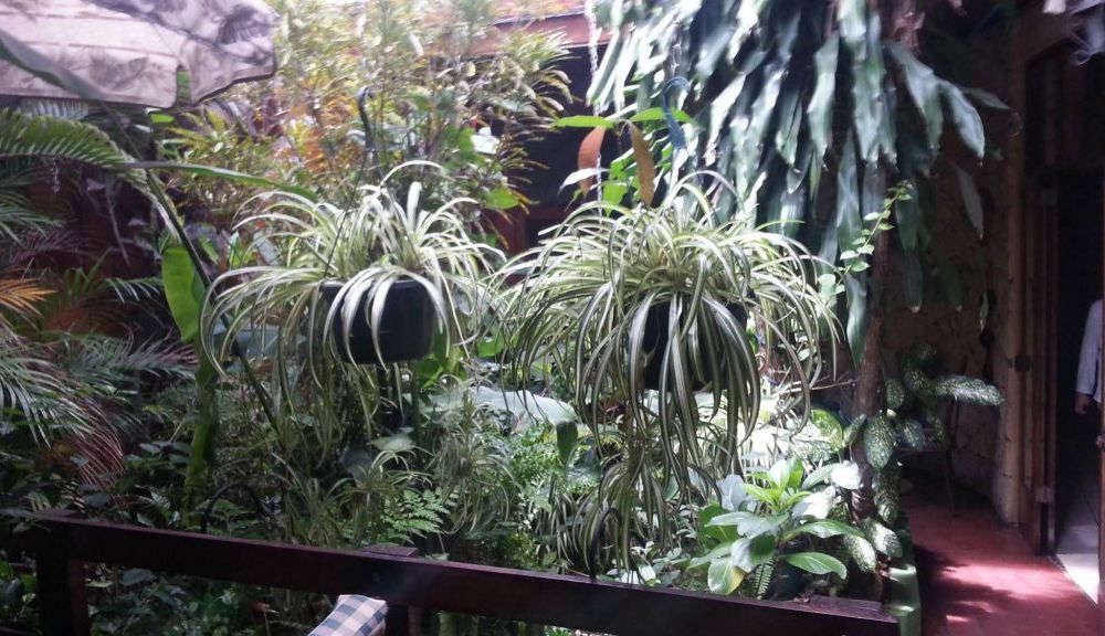 Outdoor Pictures 7