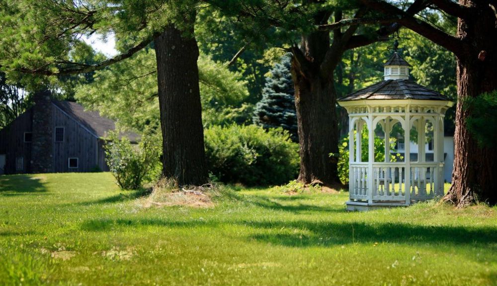 Outdoor Pictures 22