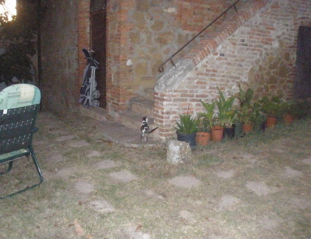 Outdoor Pictures 17