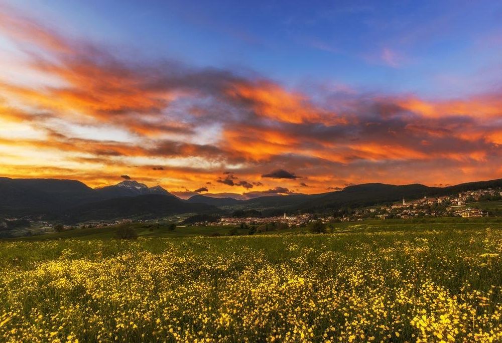 Outdoor Pictures 21