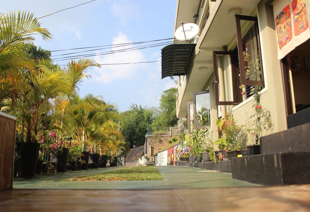 Outdoor Pictures 24