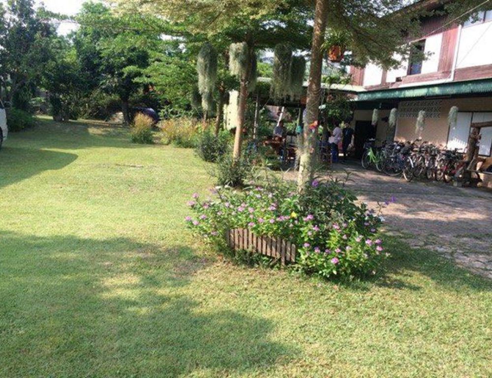 Outdoor Pictures 12