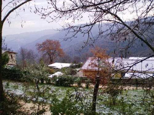 Outdoor Pictures 12