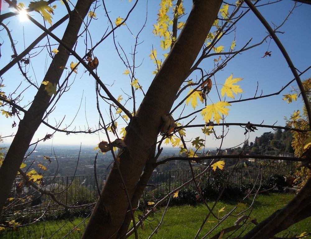 Outdoor Pictures 16