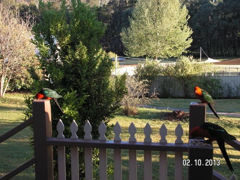 Outdoor Pictures 11