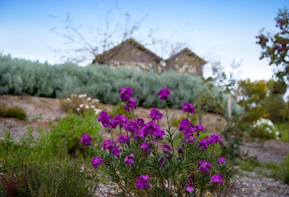 Outdoor Pictures 22