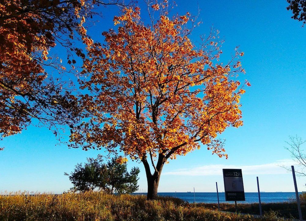 Outdoor Pictures 21