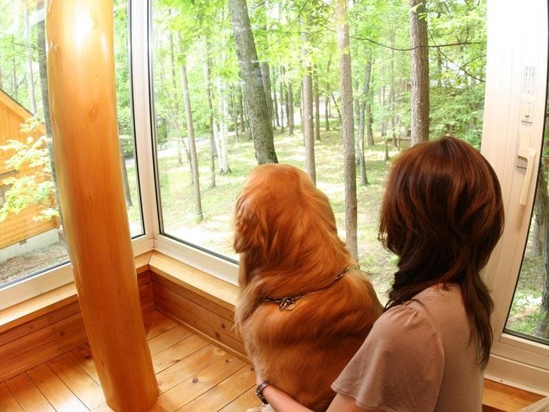 Outdoor Pictures 5