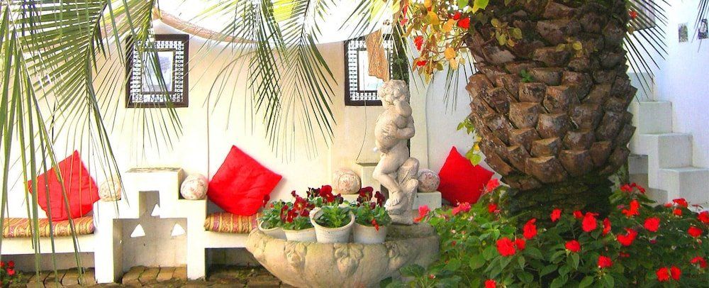 Outdoor Pictures 10