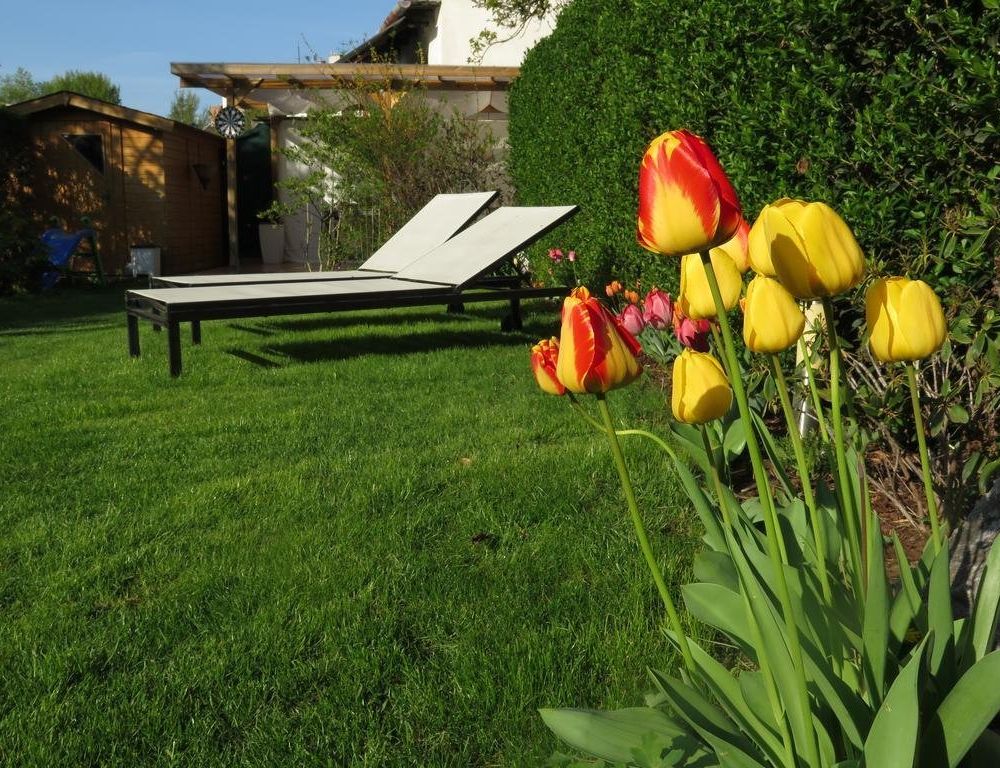 Outdoor Pictures 22