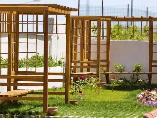 Outdoor Pictures 24