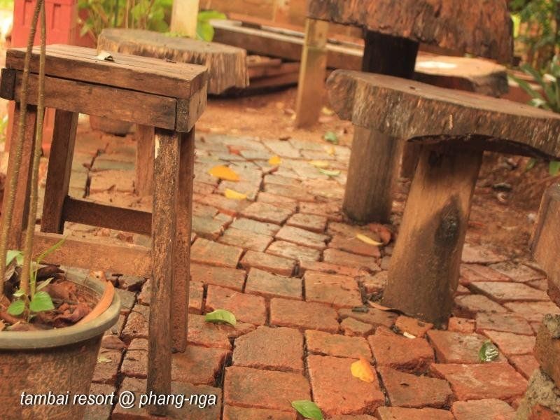 Outdoor Pictures 13