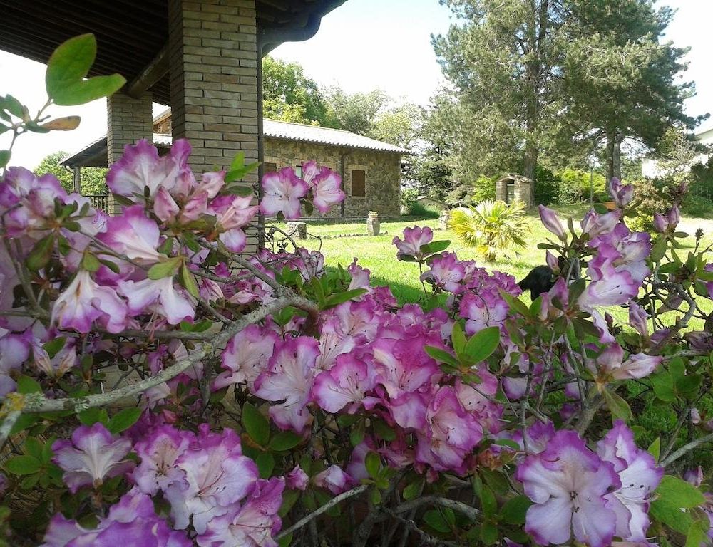 Outdoor Pictures 17