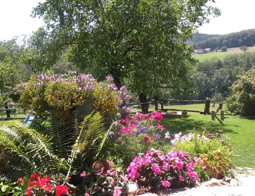 Outdoor Pictures 17