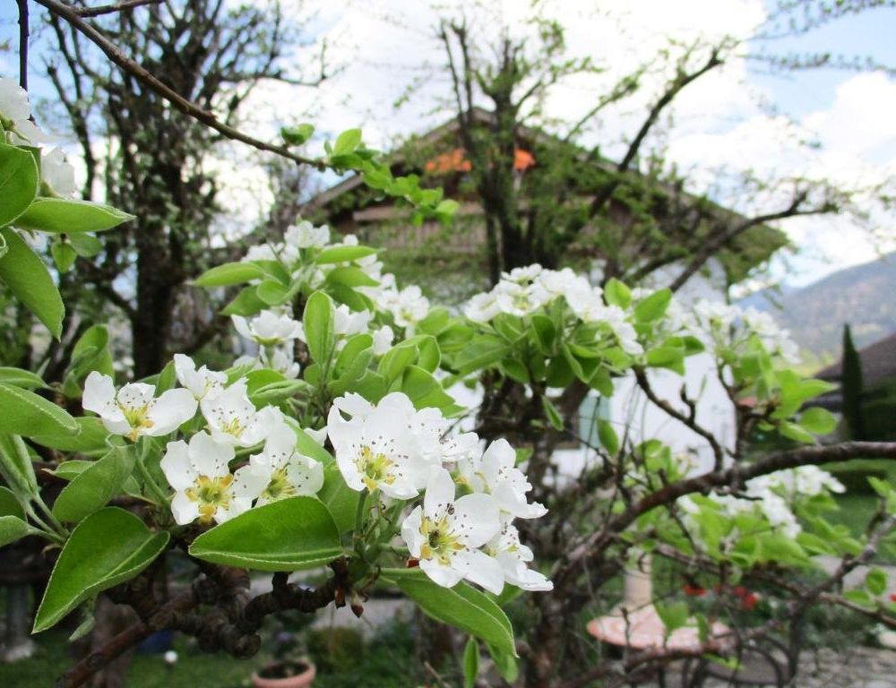 Outdoor Pictures 15