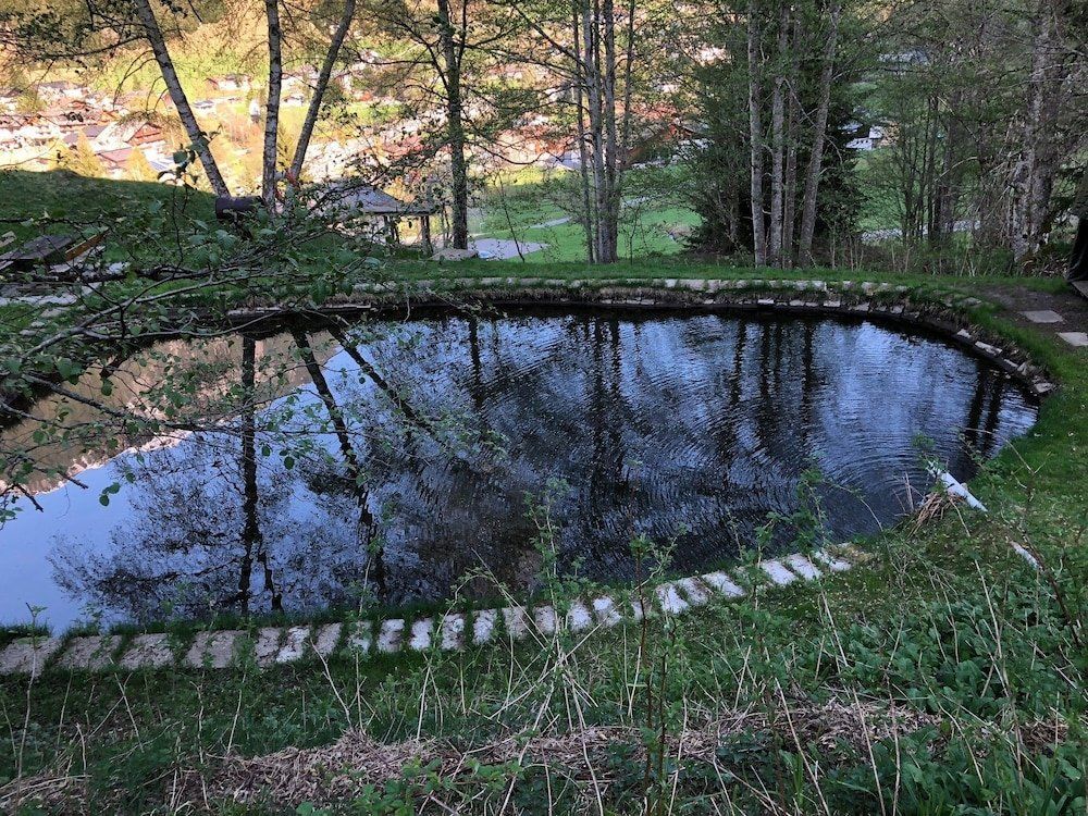 Outdoor Pictures 22