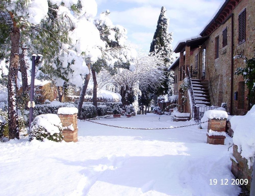 Outdoor Pictures 24