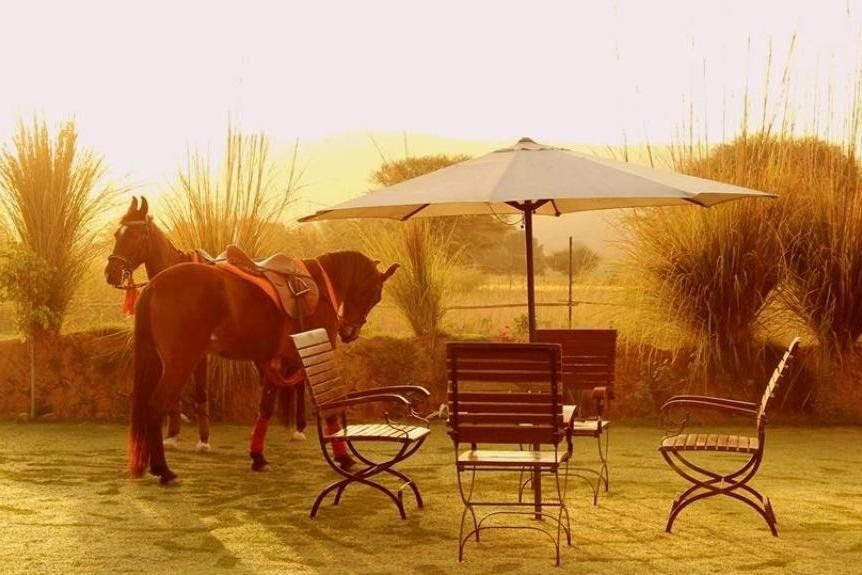 Outdoor Pictures 24